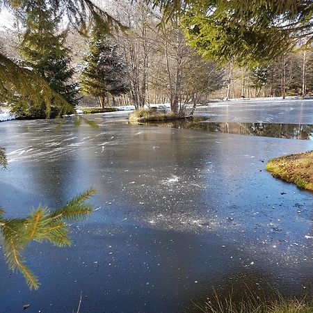 Ban-sur-Meurthe-Clefcy Insolite Chalet De Peche Serenite - Bien Etre מראה חיצוני תמונה