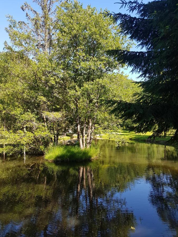 Ban-sur-Meurthe-Clefcy Insolite Chalet De Peche Serenite - Bien Etre מראה חיצוני תמונה