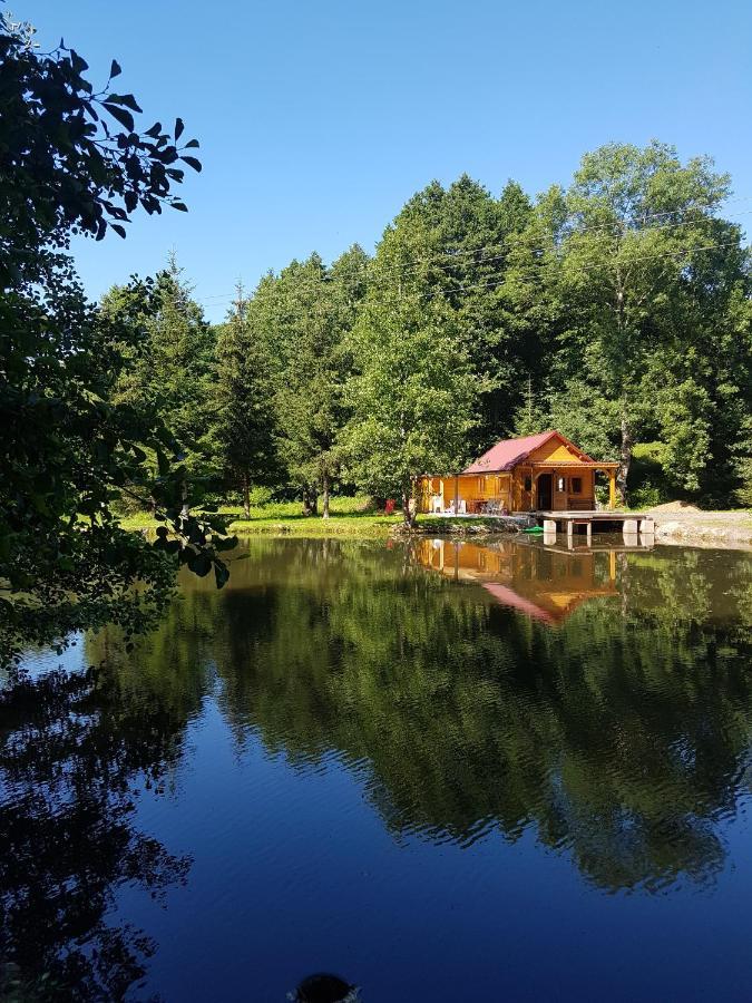 Ban-sur-Meurthe-Clefcy Insolite Chalet De Peche Serenite - Bien Etre מראה חיצוני תמונה