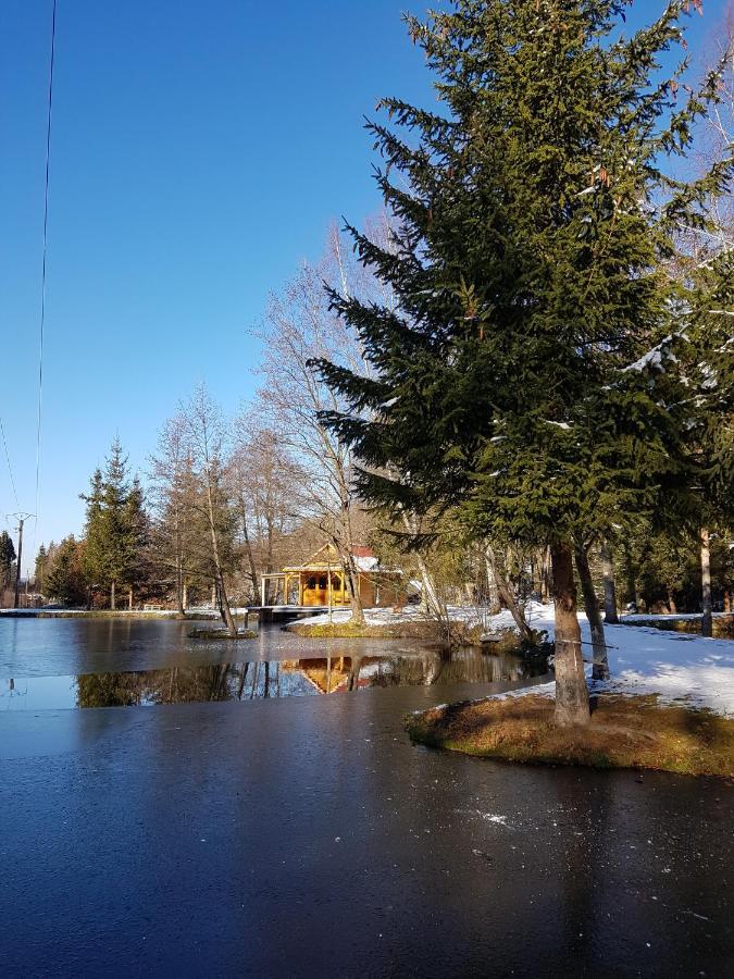 Ban-sur-Meurthe-Clefcy Insolite Chalet De Peche Serenite - Bien Etre מראה חיצוני תמונה