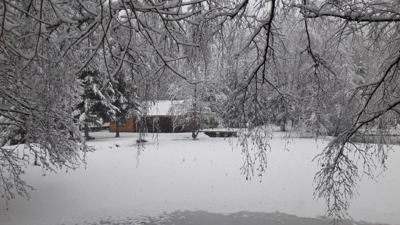 Ban-sur-Meurthe-Clefcy Insolite Chalet De Peche Serenite - Bien Etre מראה חיצוני תמונה