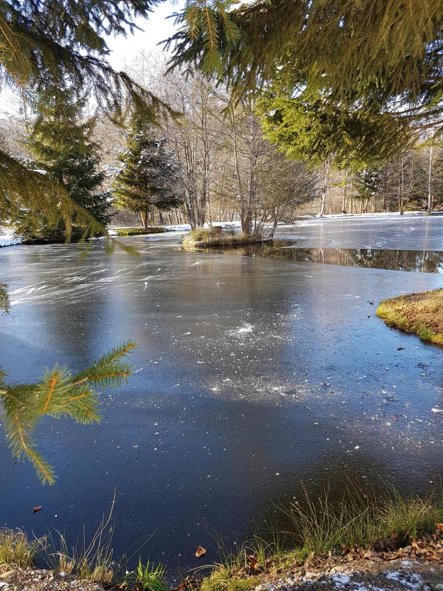 Ban-sur-Meurthe-Clefcy Insolite Chalet De Peche Serenite - Bien Etre מראה חיצוני תמונה