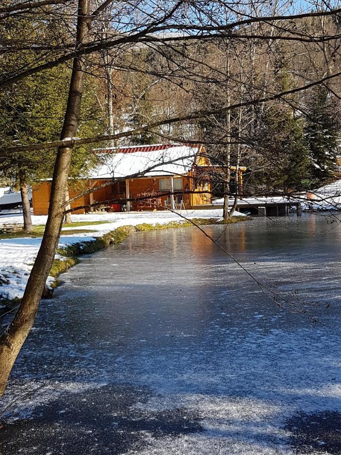 Ban-sur-Meurthe-Clefcy Insolite Chalet De Peche Serenite - Bien Etre מראה חיצוני תמונה