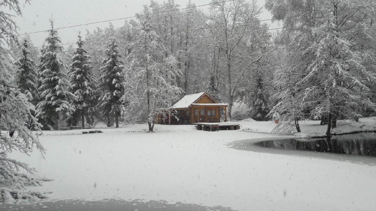 Ban-sur-Meurthe-Clefcy Insolite Chalet De Peche Serenite - Bien Etre מראה חיצוני תמונה