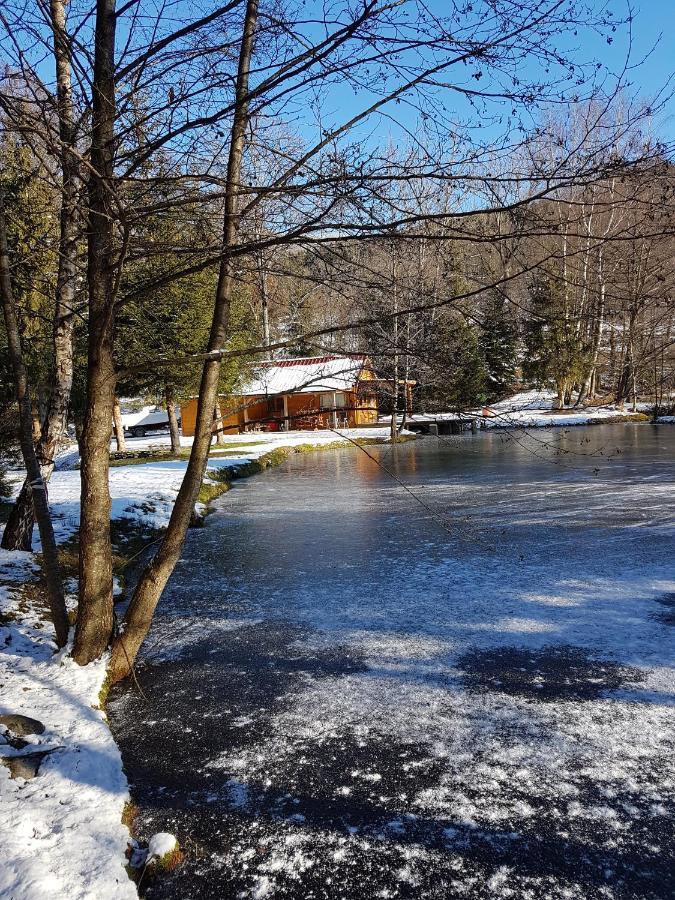 Ban-sur-Meurthe-Clefcy Insolite Chalet De Peche Serenite - Bien Etre מראה חיצוני תמונה