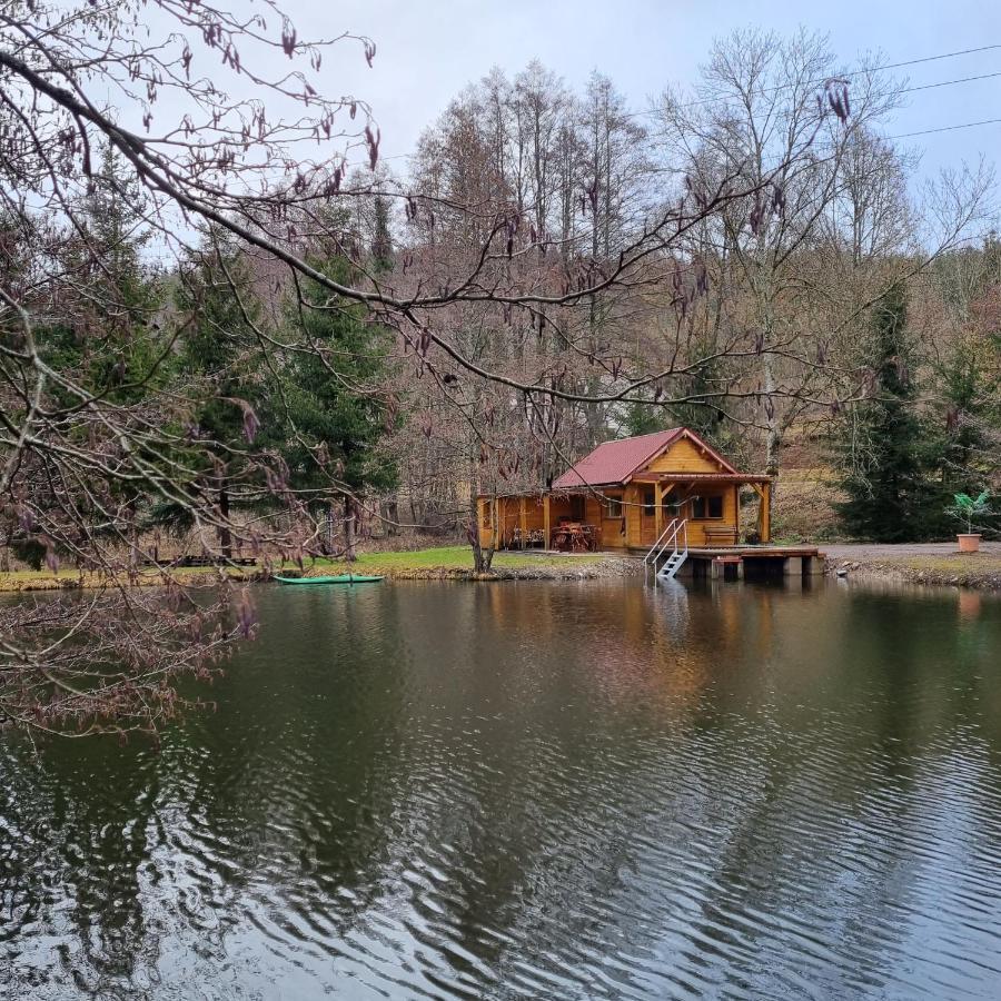 Ban-sur-Meurthe-Clefcy Insolite Chalet De Peche Serenite - Bien Etre מראה חיצוני תמונה