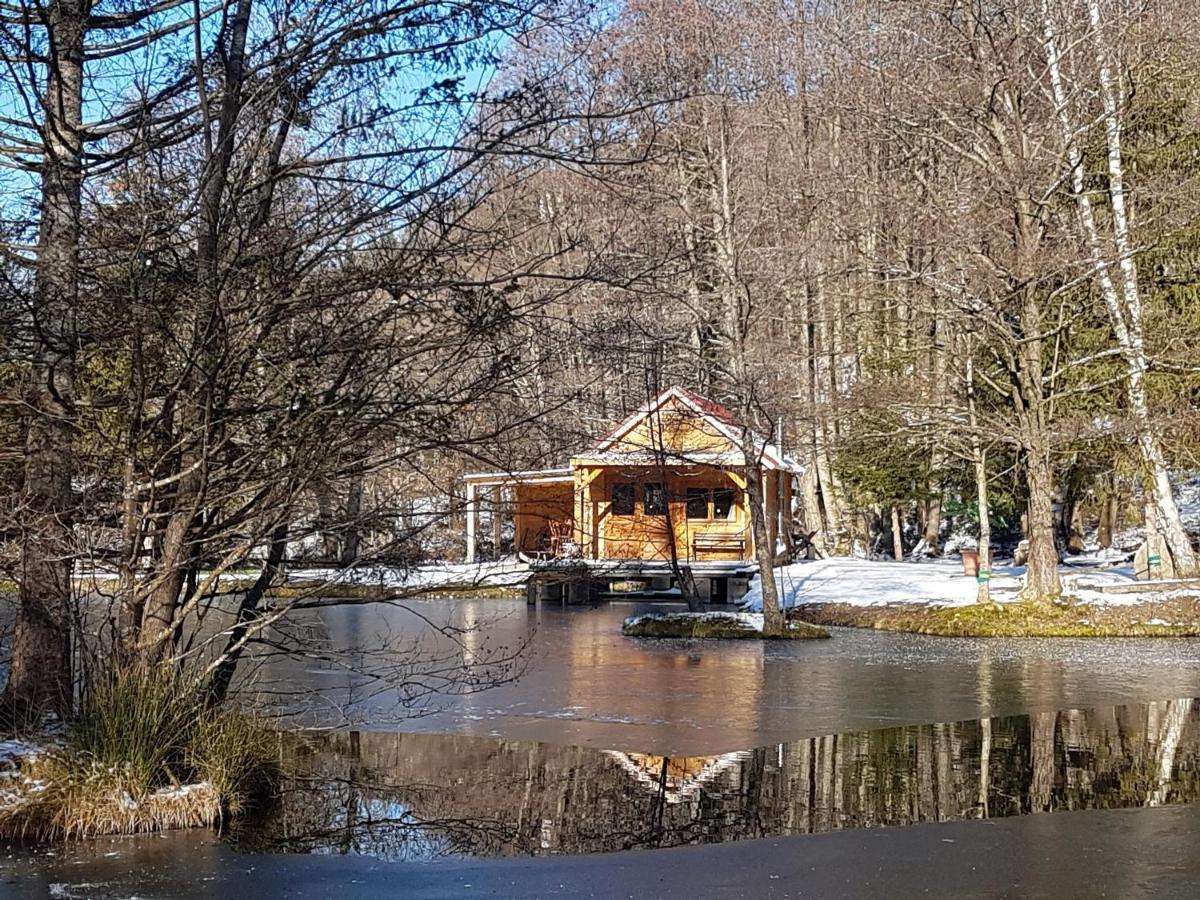 Ban-sur-Meurthe-Clefcy Insolite Chalet De Peche Serenite - Bien Etre מראה חיצוני תמונה