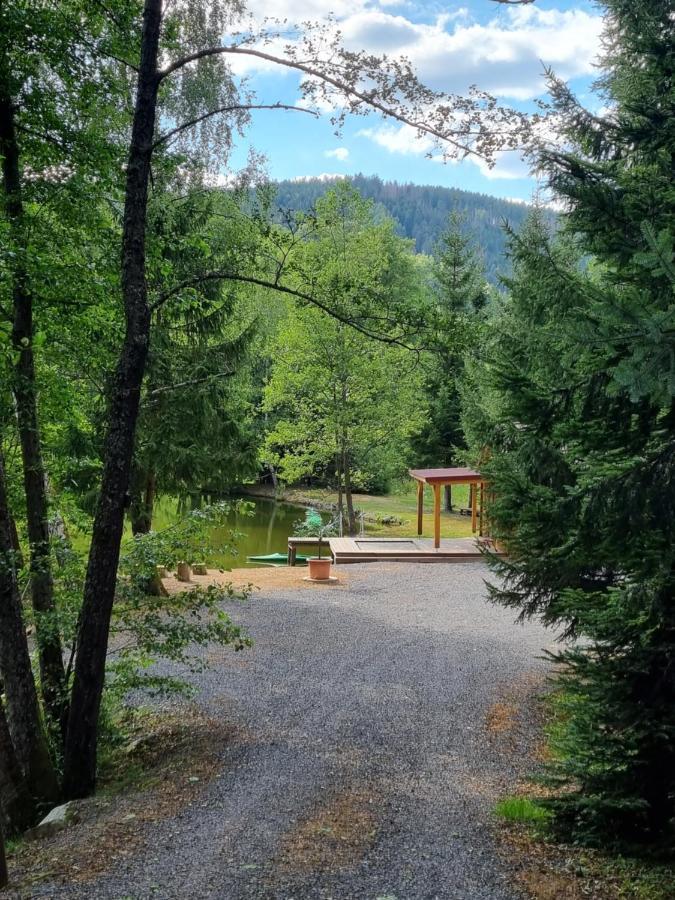 Ban-sur-Meurthe-Clefcy Insolite Chalet De Peche Serenite - Bien Etre מראה חיצוני תמונה