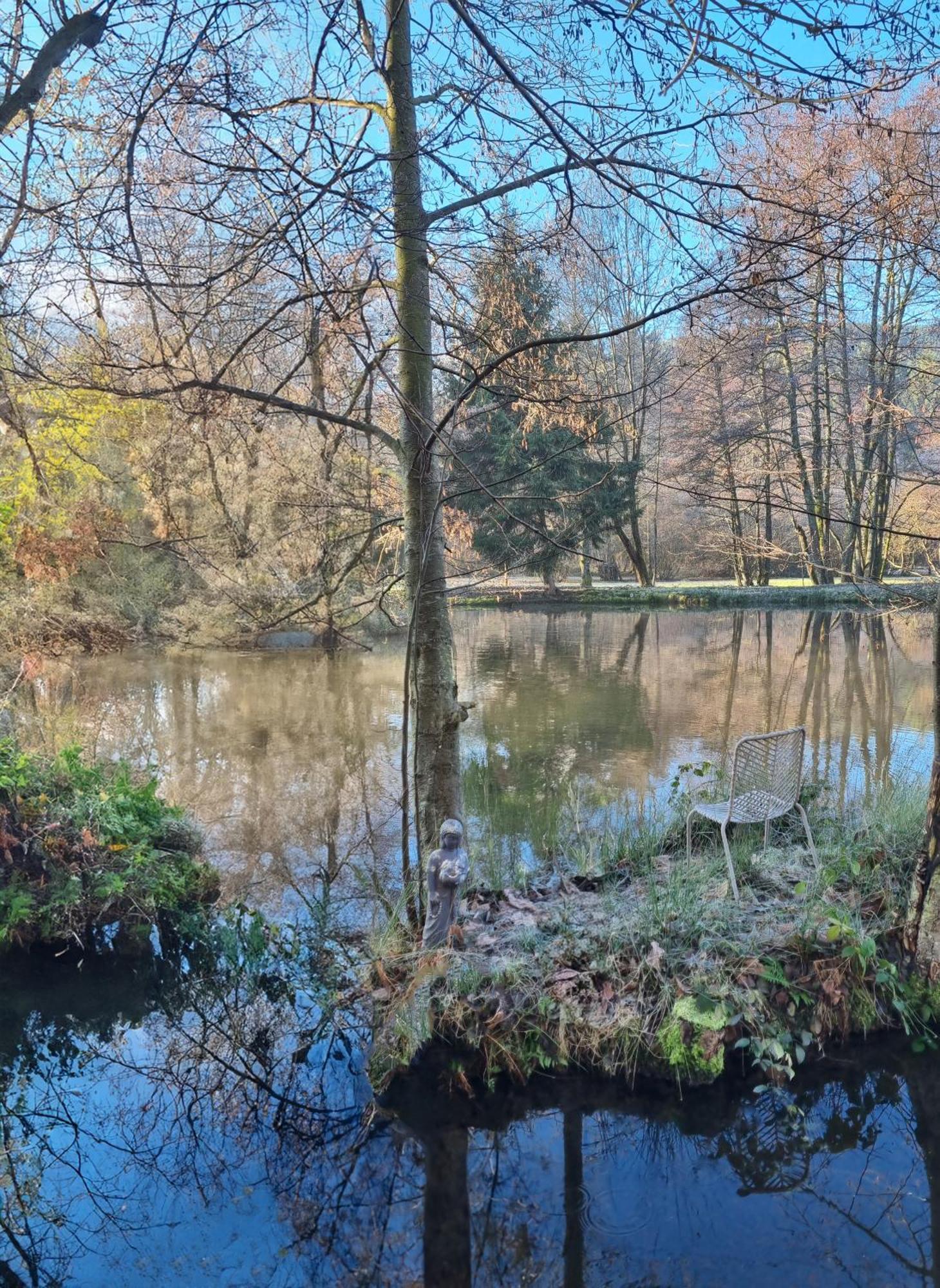 Ban-sur-Meurthe-Clefcy Insolite Chalet De Peche Serenite - Bien Etre מראה חיצוני תמונה