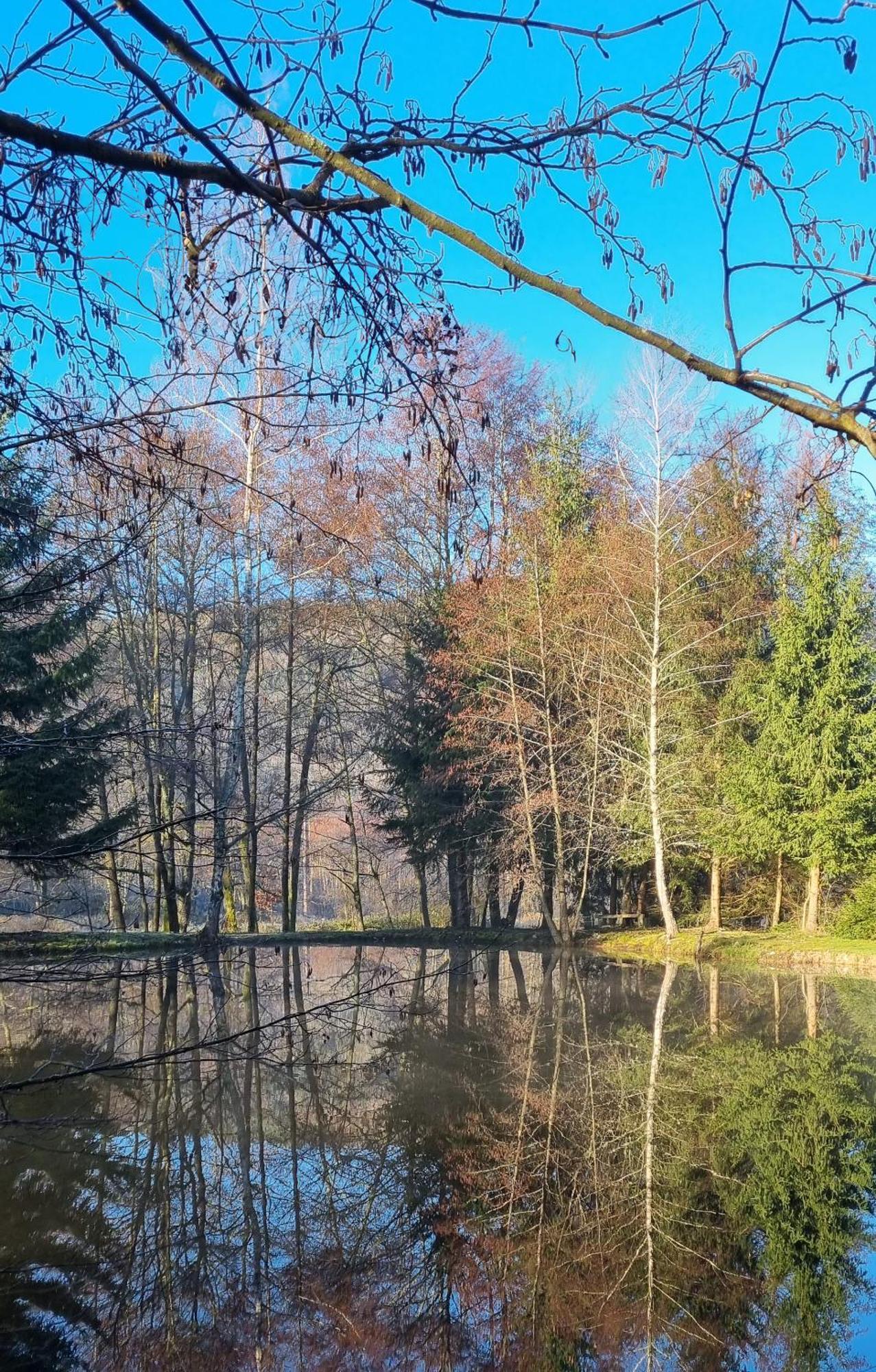 Ban-sur-Meurthe-Clefcy Insolite Chalet De Peche Serenite - Bien Etre מראה חיצוני תמונה